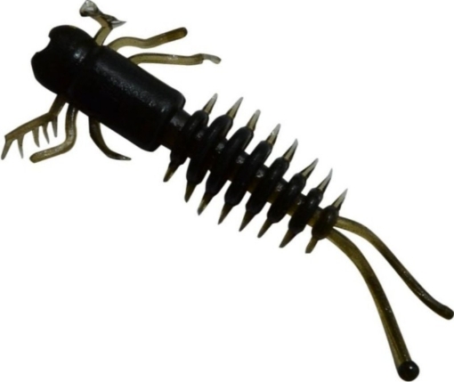 Bild von Predator-Z Nymphe Centipede Killer - 10 Stk. / 4 cm