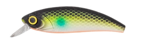 Picture of Carp Zoom Immortal Shad 5cm Float Black-Green