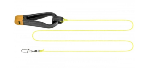 Bild von Carp Zoom Welszange