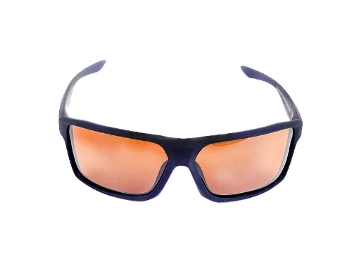 Bild von CSV Polbrille SGL.P02.146.BL.BR