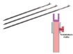 Bild von CSV Erdspeer OT TUHP - 65/105cm