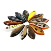Wobler Westin Swim Glidebait  5